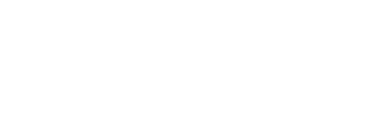 community foundation for the twin tiers logo-footer